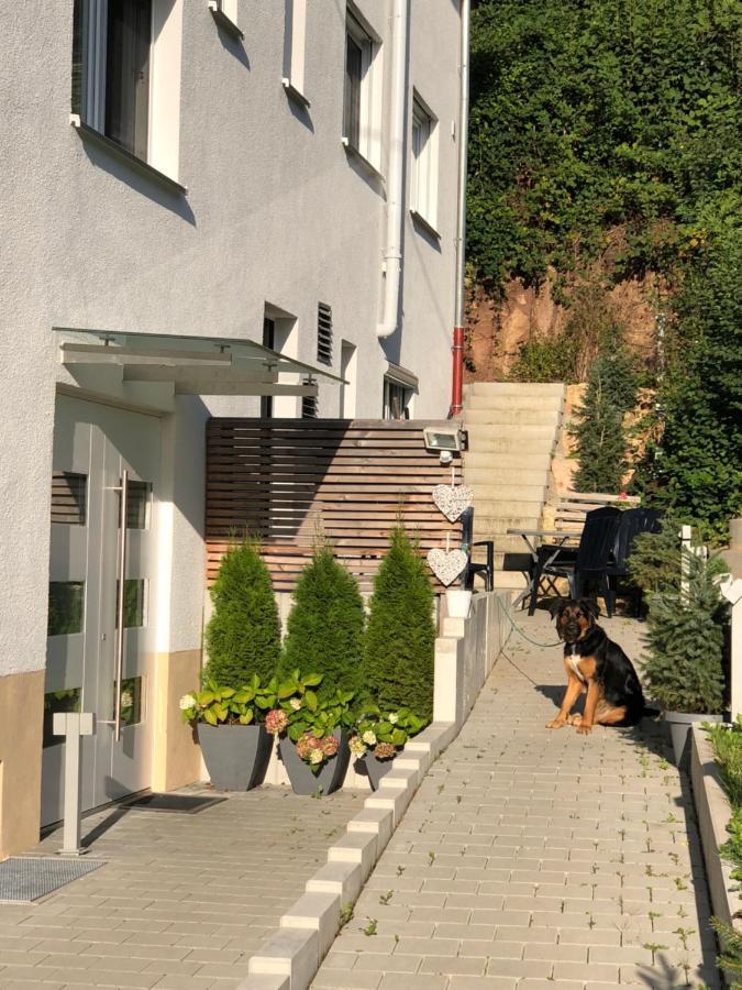 Ferienwohnungen Lamisto Am Waldesrand Neckartenzlingen Екстер'єр фото